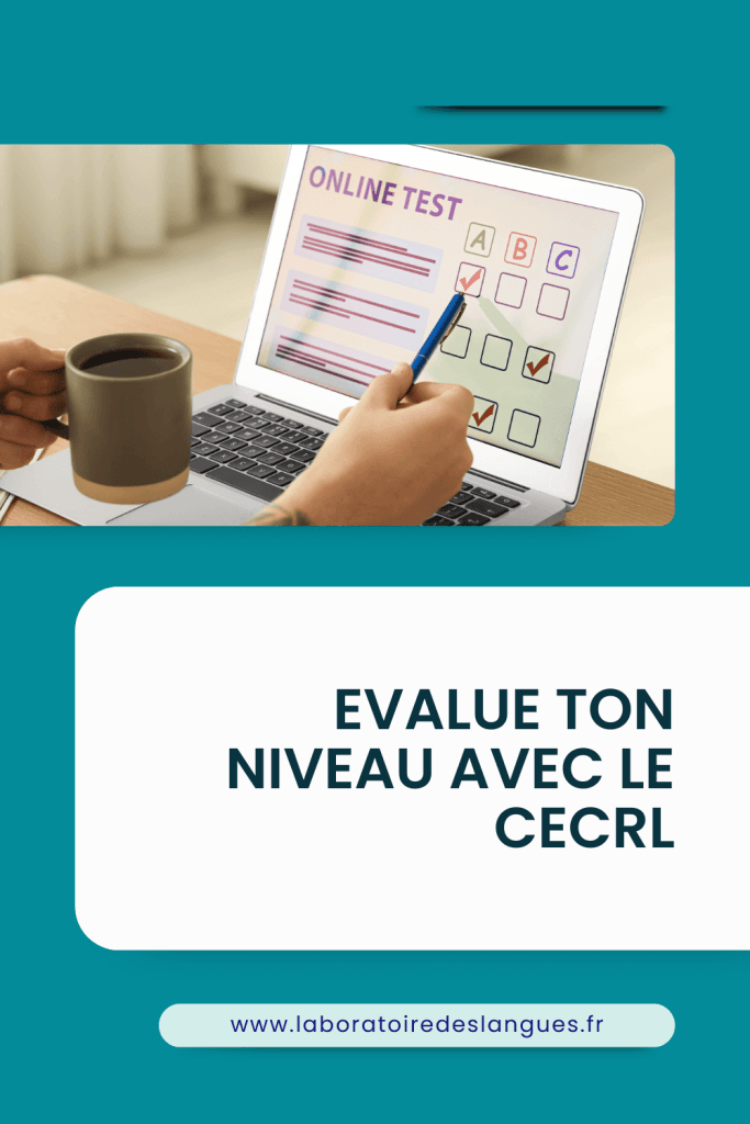 Niveau de langues