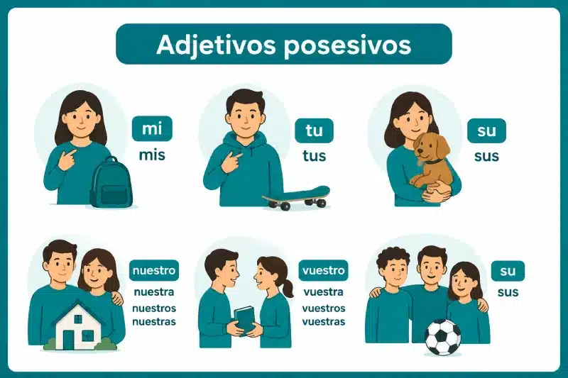 adjectifs possessifs en espagnol